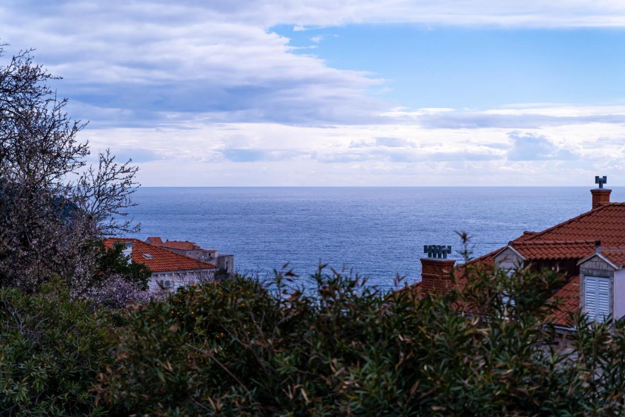 Apartment Aurelya Dubrovnik Exterior foto